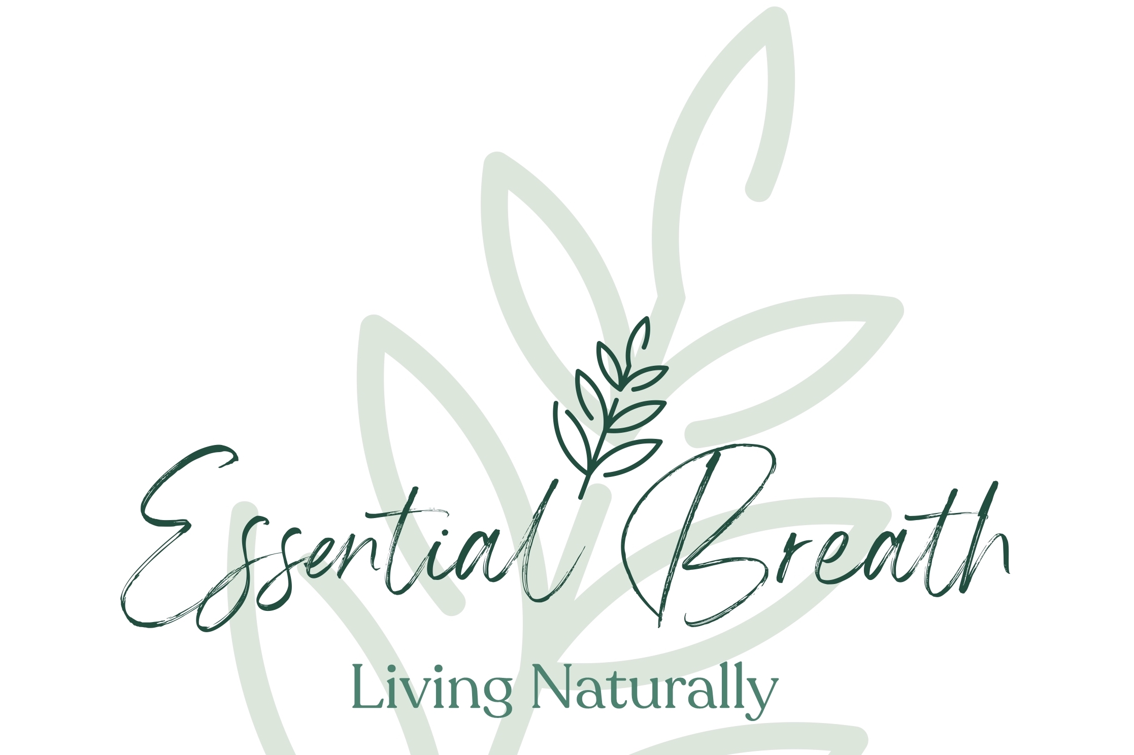 aloe fibre retailer logo