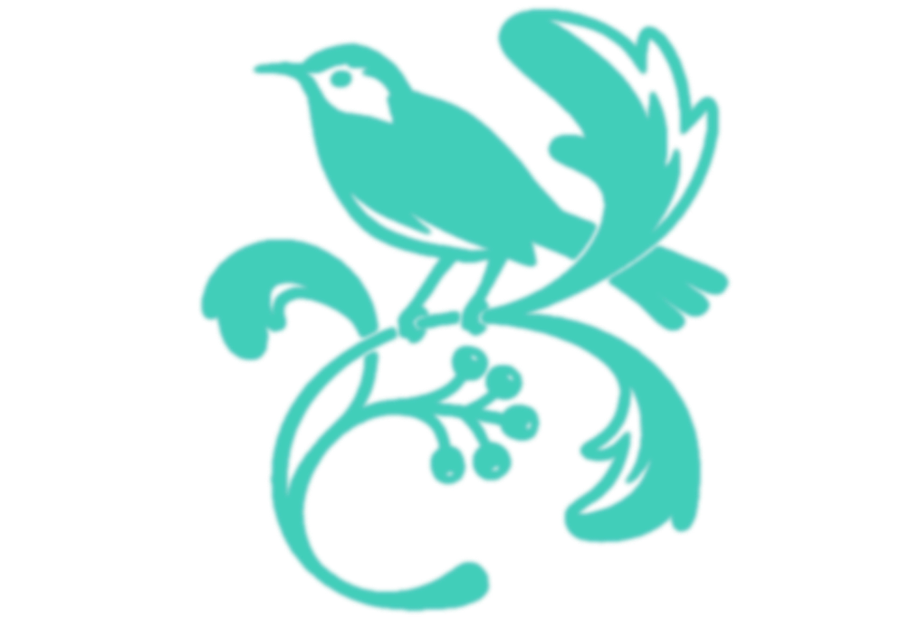 aloe fibre retailer logo